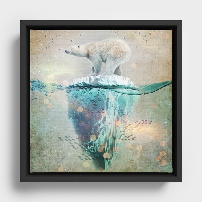 Framed Canvas