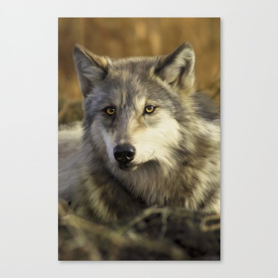 Wolf Canvas Print