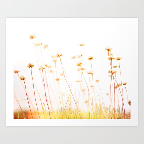 Beach Flora Art Print