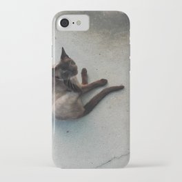 Resting Siamese Cat iPhone Case