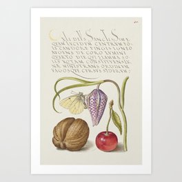 Vintage vegetables calligraphic poster Art Print