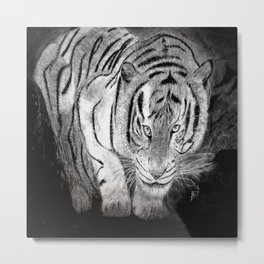 Tiger Gaze Art Print Metal Print