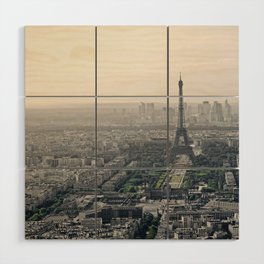 Champ de Mars and Eiffel Tower | Aerial cityscape Paris | Selective color Wood Wall Art