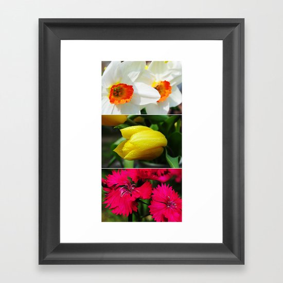 Flower Triptych Framed Art Print