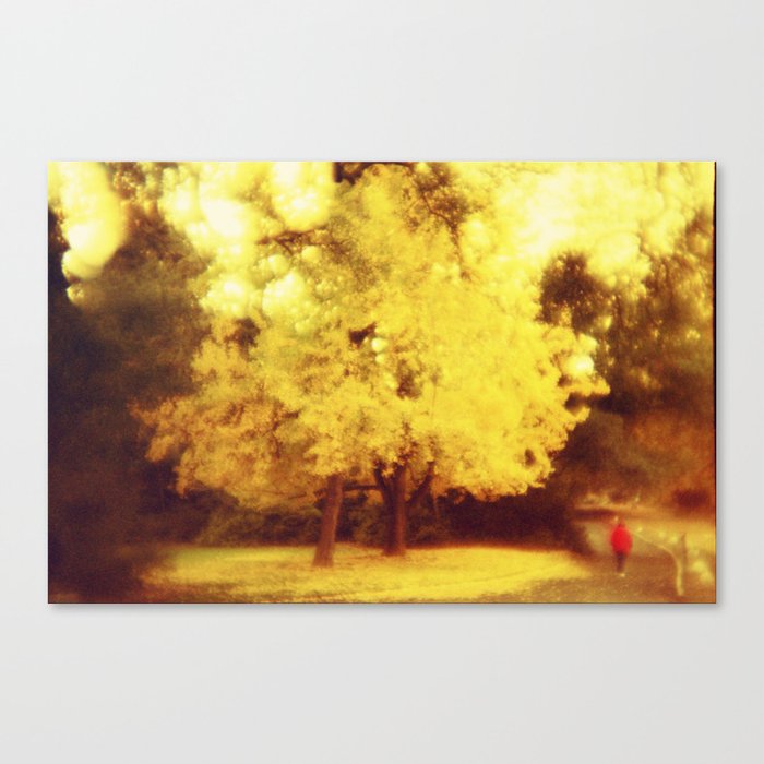 golden fall Canvas Print