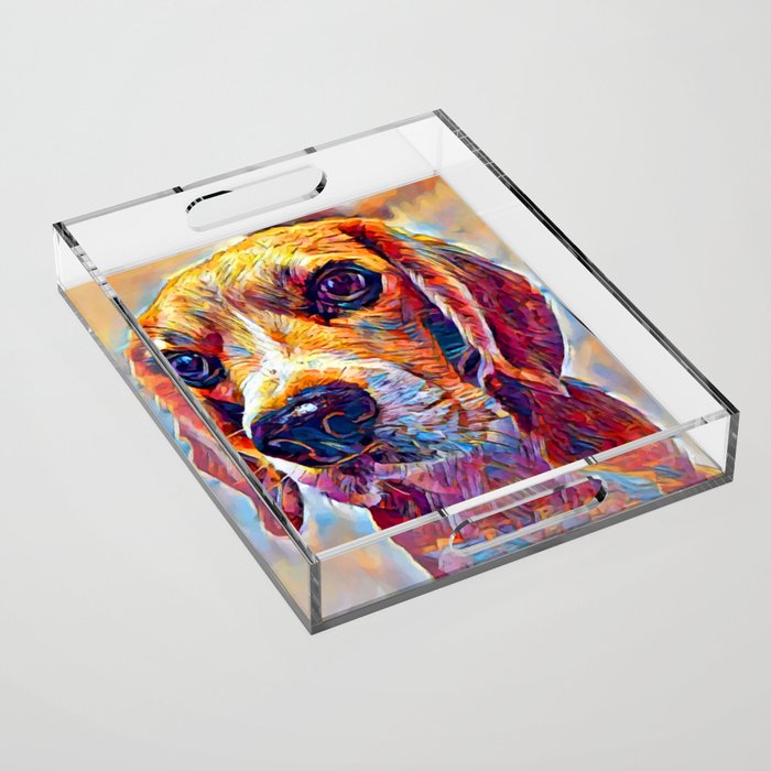 Beagle 3 Acrylic Tray