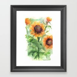 Sunflower Watercolor Study: Field Sketch Framed Art Print