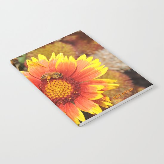 Spring in Progress #2 Notebook