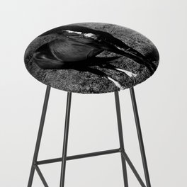 Monochrome black horse on the field in the summertime Bar Stool