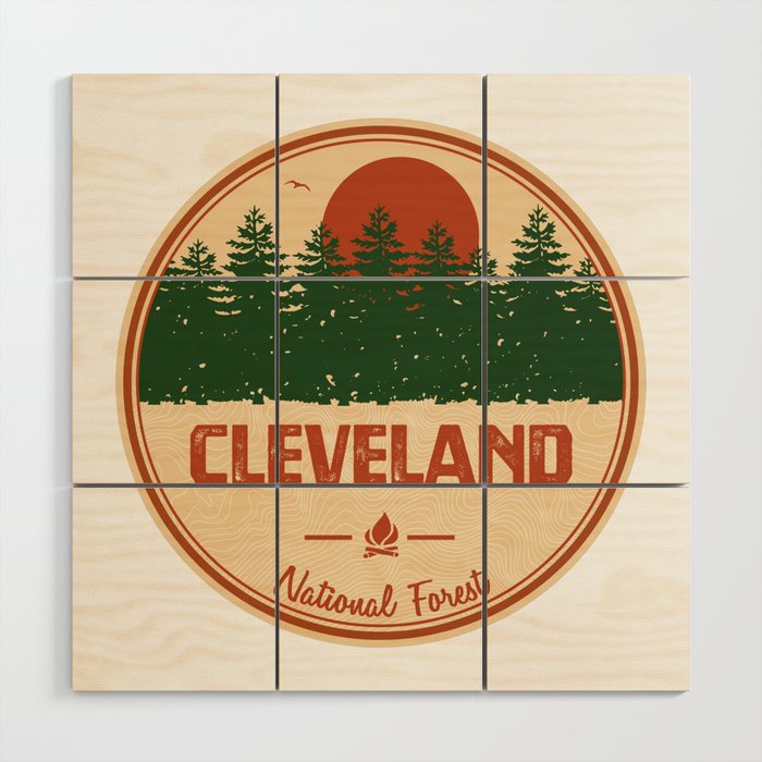 Cleveland National Forest Wood Wall Art