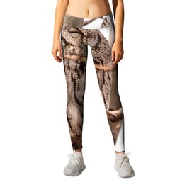 Wild Owl - Ivins, Utah Leggings