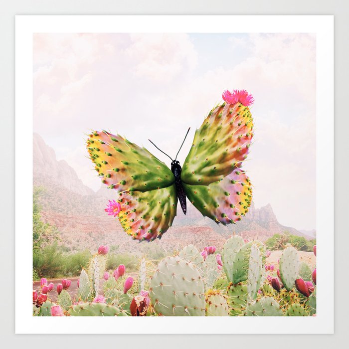 Cactus Butterfly Art Print