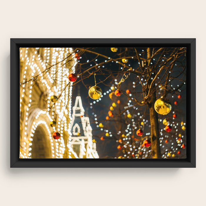 Framed Canvas