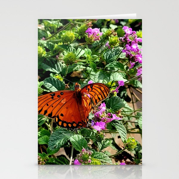 Vibrant Butterfly Stationery Cards