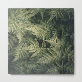 SHADED GREEN FERN Metal Print | Environment, Green, Nature, Natural, Photo, Color, Digital, Curated, Mint, Leaves 