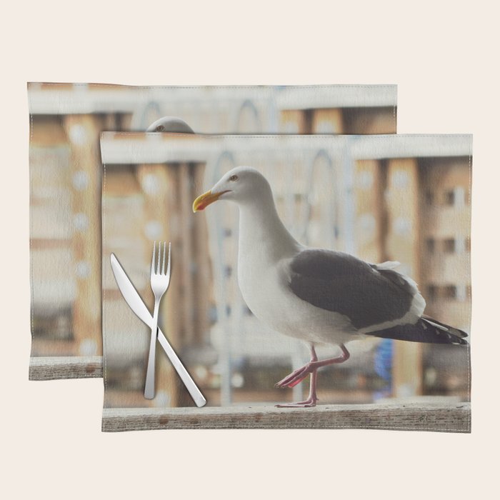 Seagull at Pier 39 Fishermans Wharf, San Francisco Simple Travel