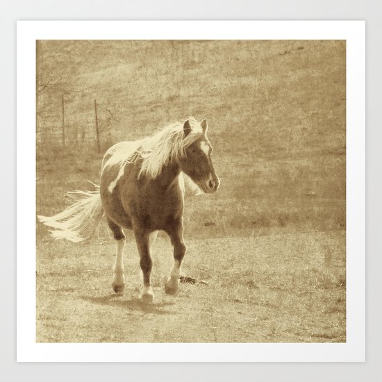 Sepia Pony Art Print
