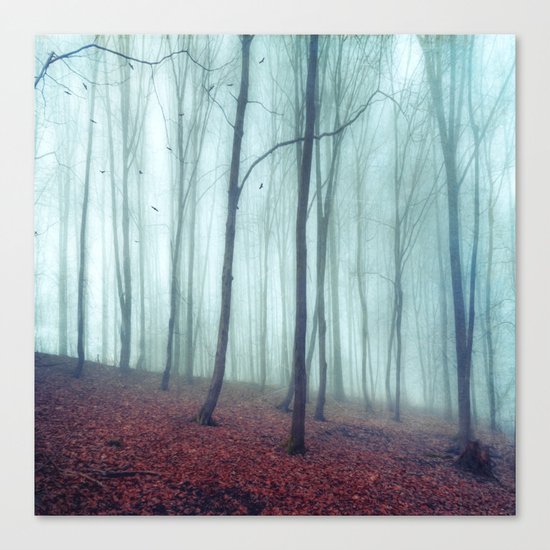 No Noize - Silent Forest Canvas Print