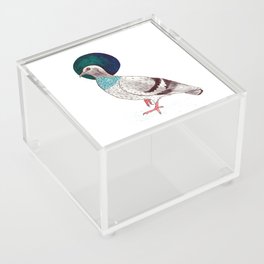 Mighty Pidgeon Acrylic Box