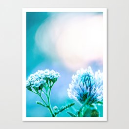 Floral Photography "LIGHT OF HEAVEN" Canvas Print