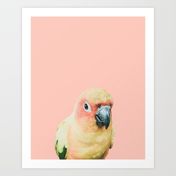 Birds of Paradise - pastel pink Art Print