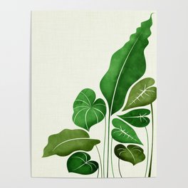 Cacophony Plant Illustration Poster | Painting, Leaves, Plant, Exotic, Jungle, Bananaleaf, Tropical, Fronds, Nature, Rainforest 