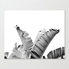 TROPICAL VIBE - black and white Canvas Print