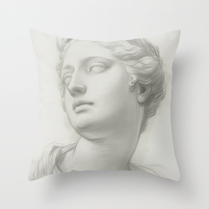 Throw Pillow