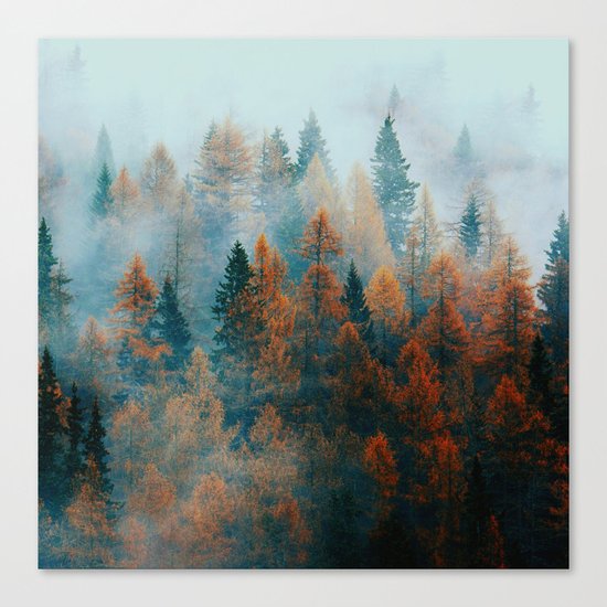Holomontas Canvas Print
