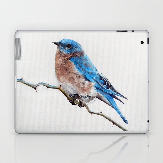Little Bird Laptop & iPad Skin