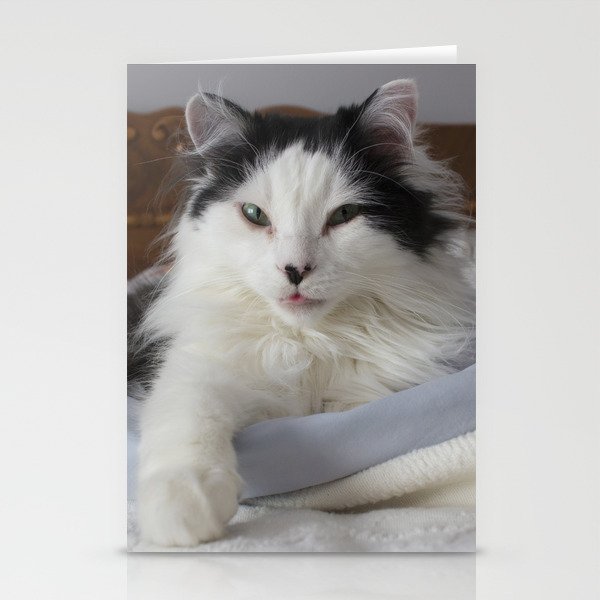 Blep in Bed Stationery Cards