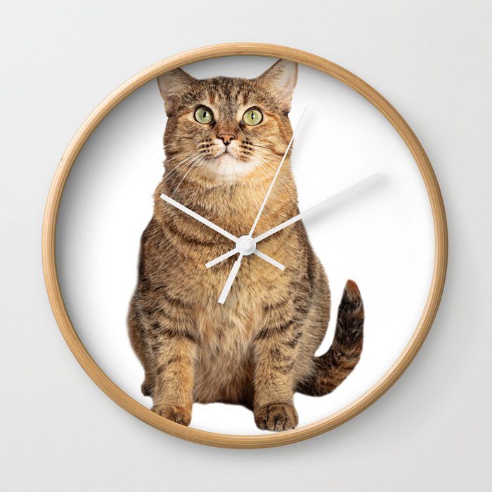 Beautiful cat picture Wall Clock