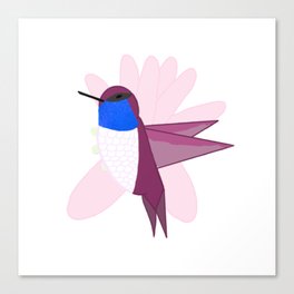 Blue Hummingbird Shimmer Cheeks Canvas Print