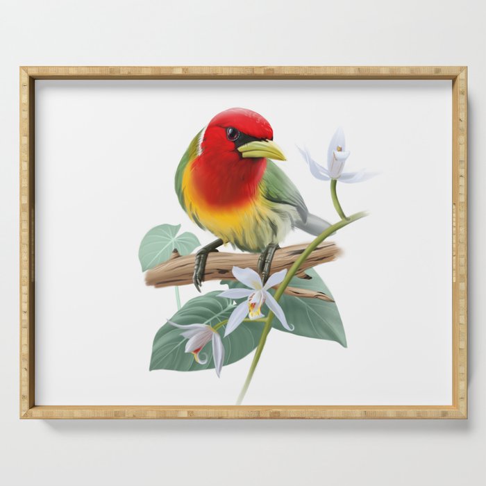 Tropical bird red-headed barbet Serving Tray