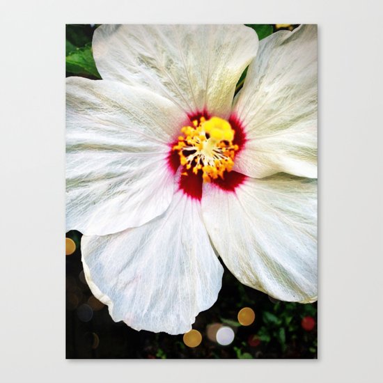 Summer showers brings pretty flowers Canvas Print