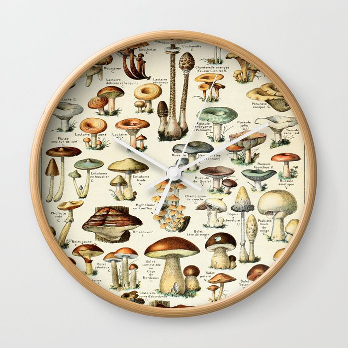 Vintage Mushroom & Fungi Chart by Adolphe Millot Wall Clock