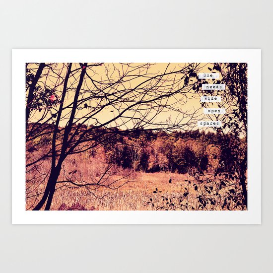 Wide Open Spaces II Art Print