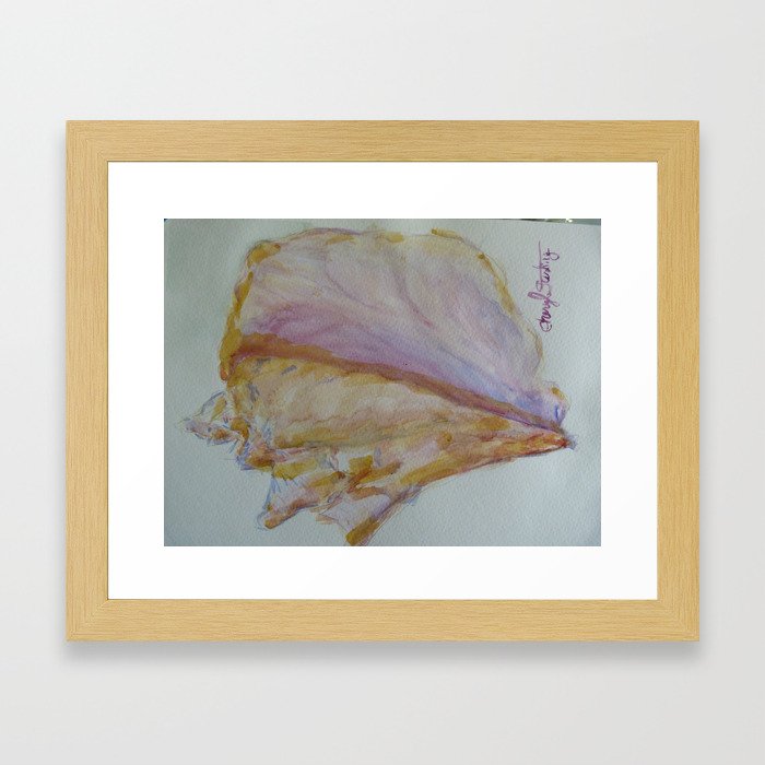 Conch Framed Art Print