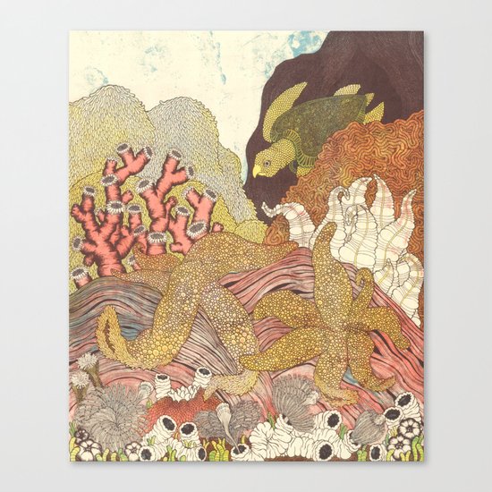 Aquatic Canvas Print