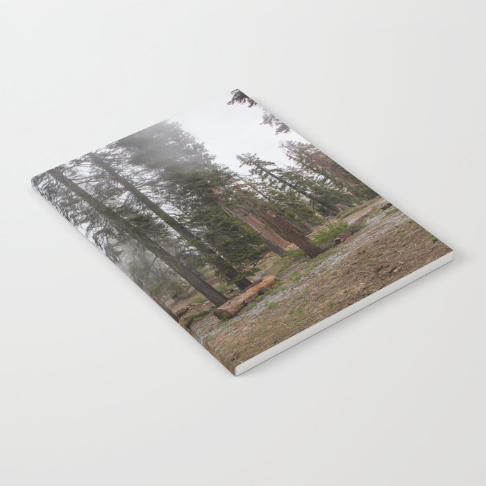 Fog Rolls - Sequoia Park, California Notebook