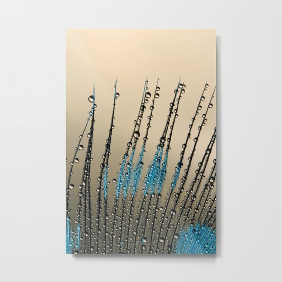 Feather Droplets Metal Print