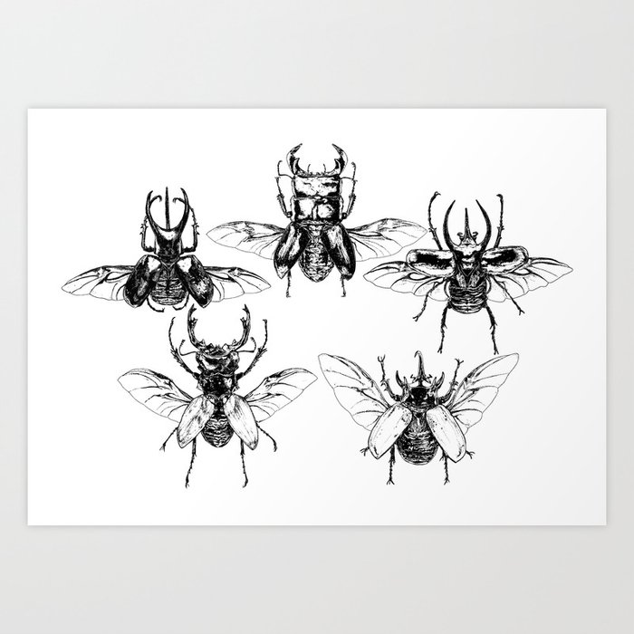 Scarabs Art Print