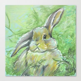 Bunny in the Grass Canvas Print