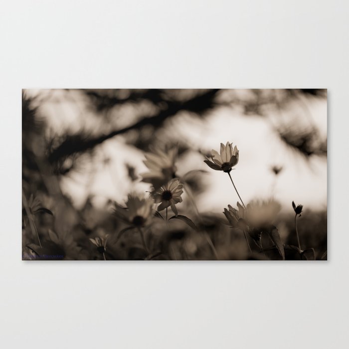 Summer Loving Canvas Print