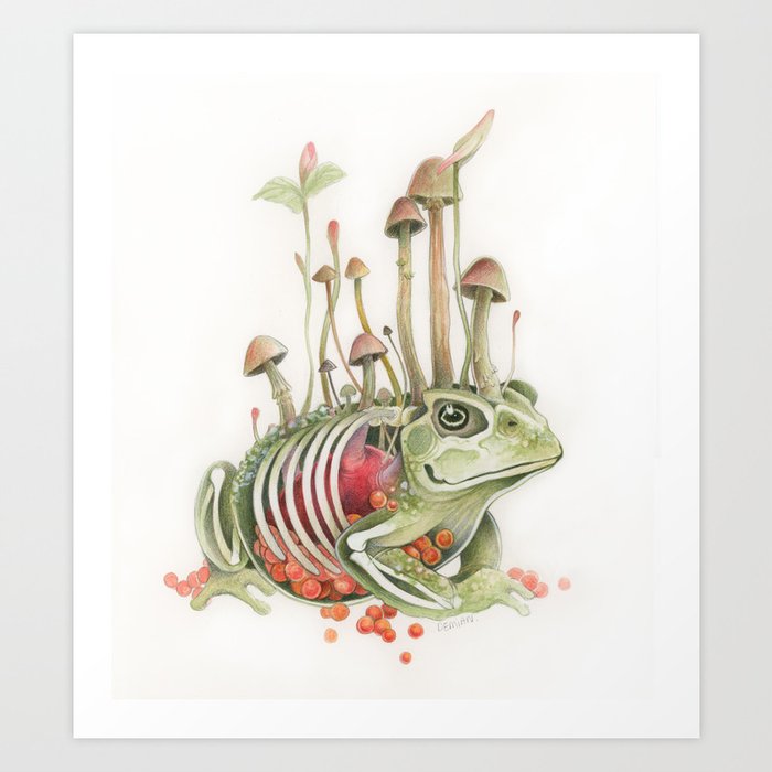 Toad Art Print