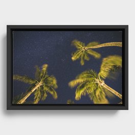 Palm trees at night against starry sky Framed Canvas