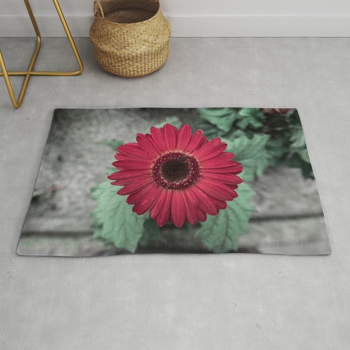A Full Frontal Closeup of a Red Daisy Rug
