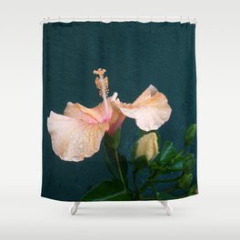 Pink Hibiscus Flower with rain drops Shower Curtain