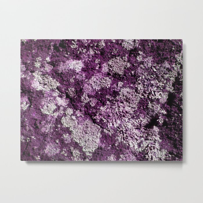 Purple Moss Metal Print