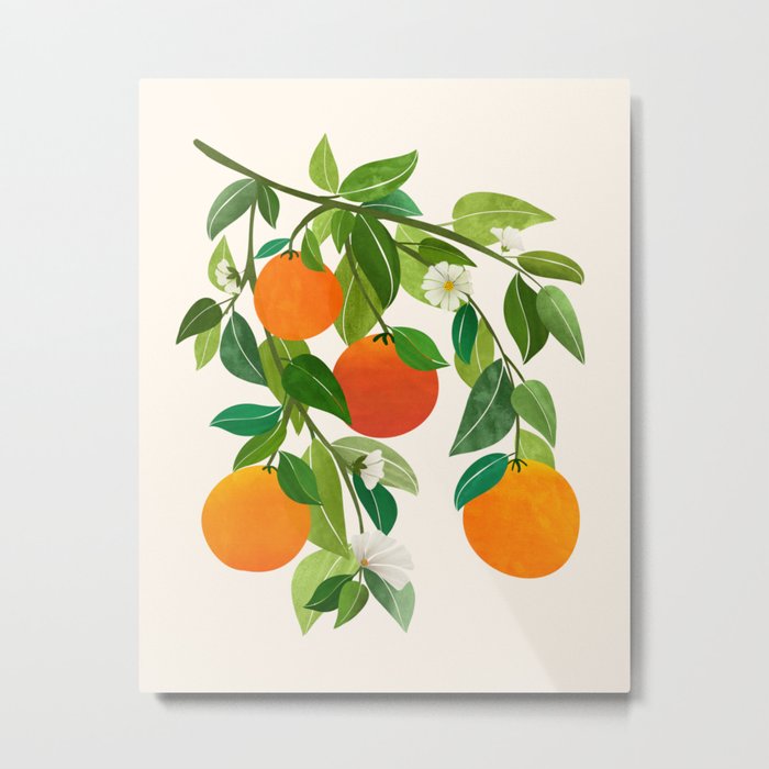 Oranges and Blossoms Tropical Fruit Painting Metal Print